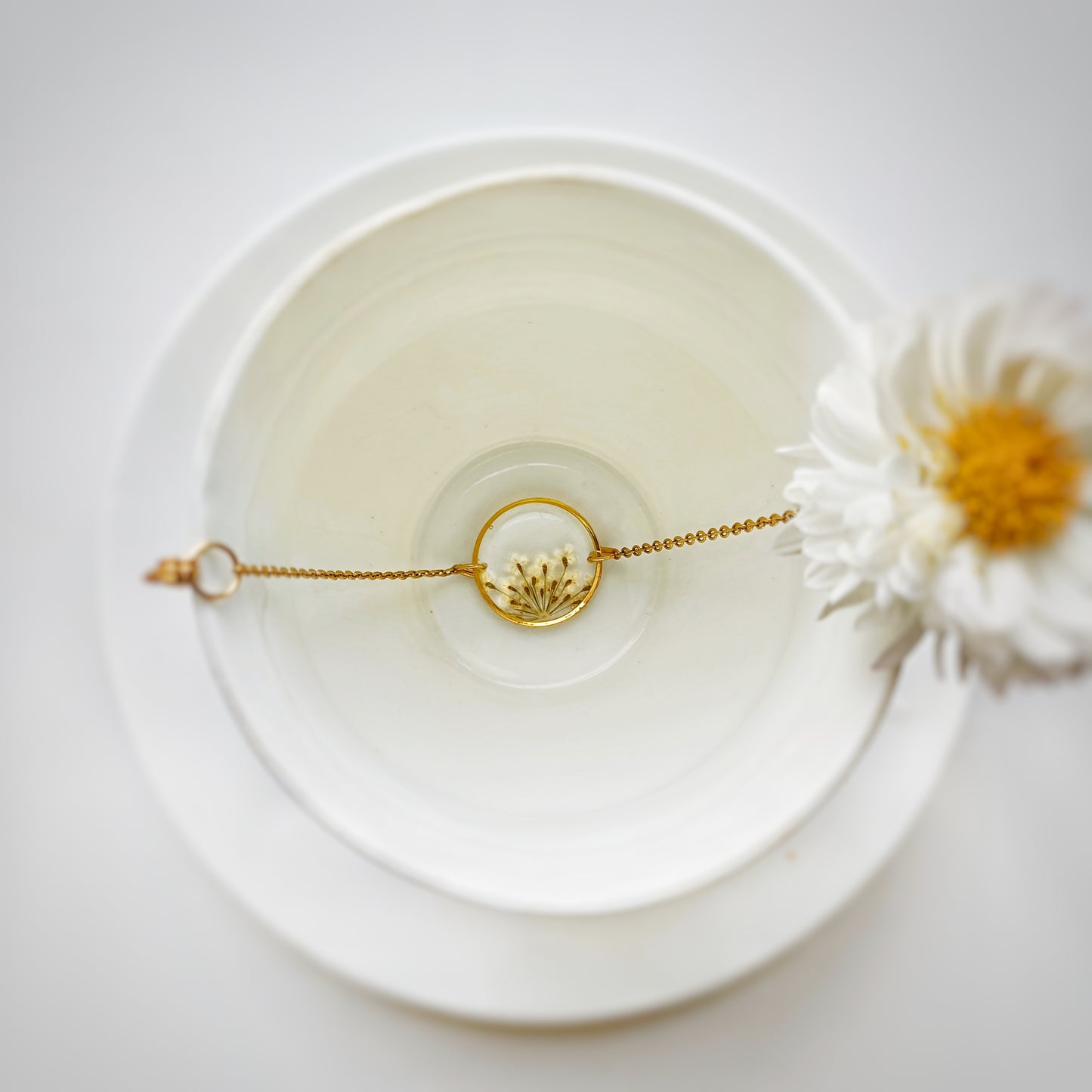 SPILL THE BEANS - ๐๐ฒ๐ฆ๐๐จ๐ฅ๐ข๐ ๐จ๐ ๐๐๐๐๐ญ๐ฒ ๐๐ง๐ ๐๐๐ง๐๐ญ๐ฎ๐๐ซ๐ฒ