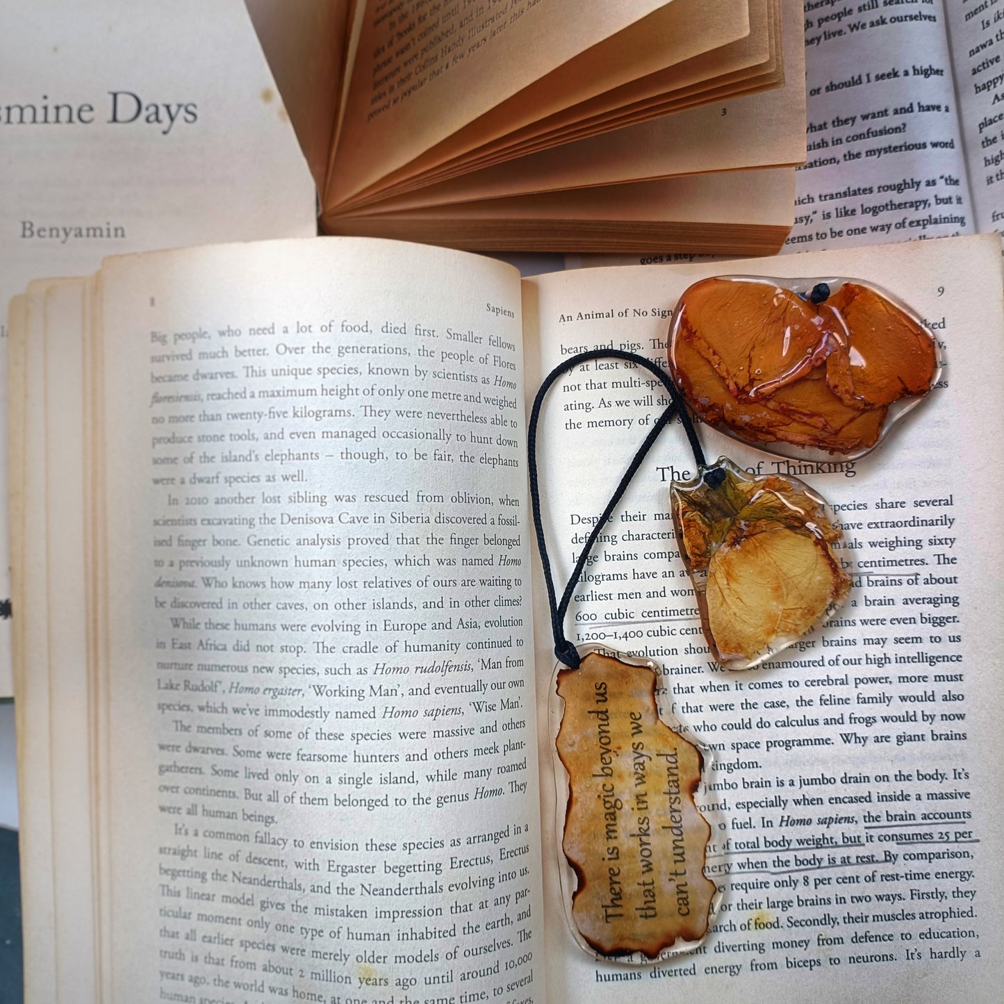 ENVY, customizable bookmark