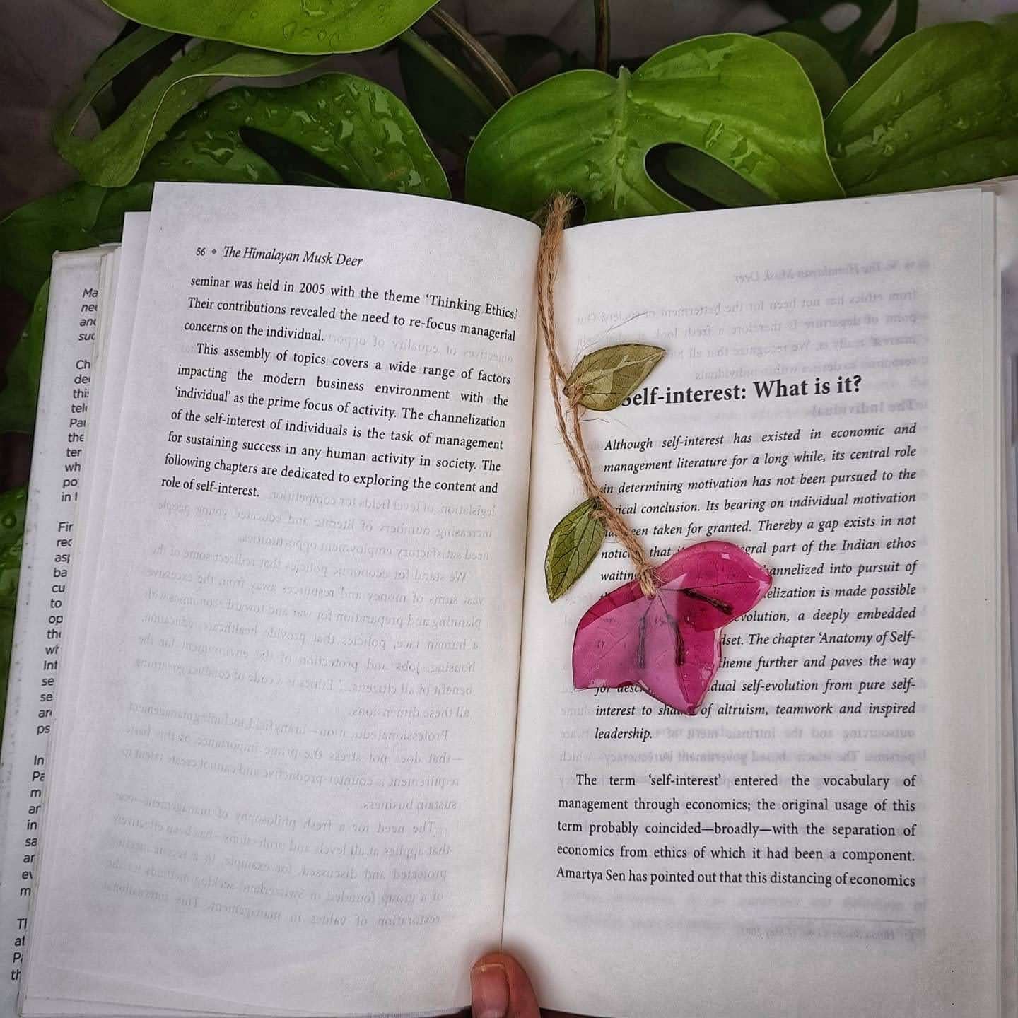Books & Bougainville - Symbolic of Passion, Peace & Resilience