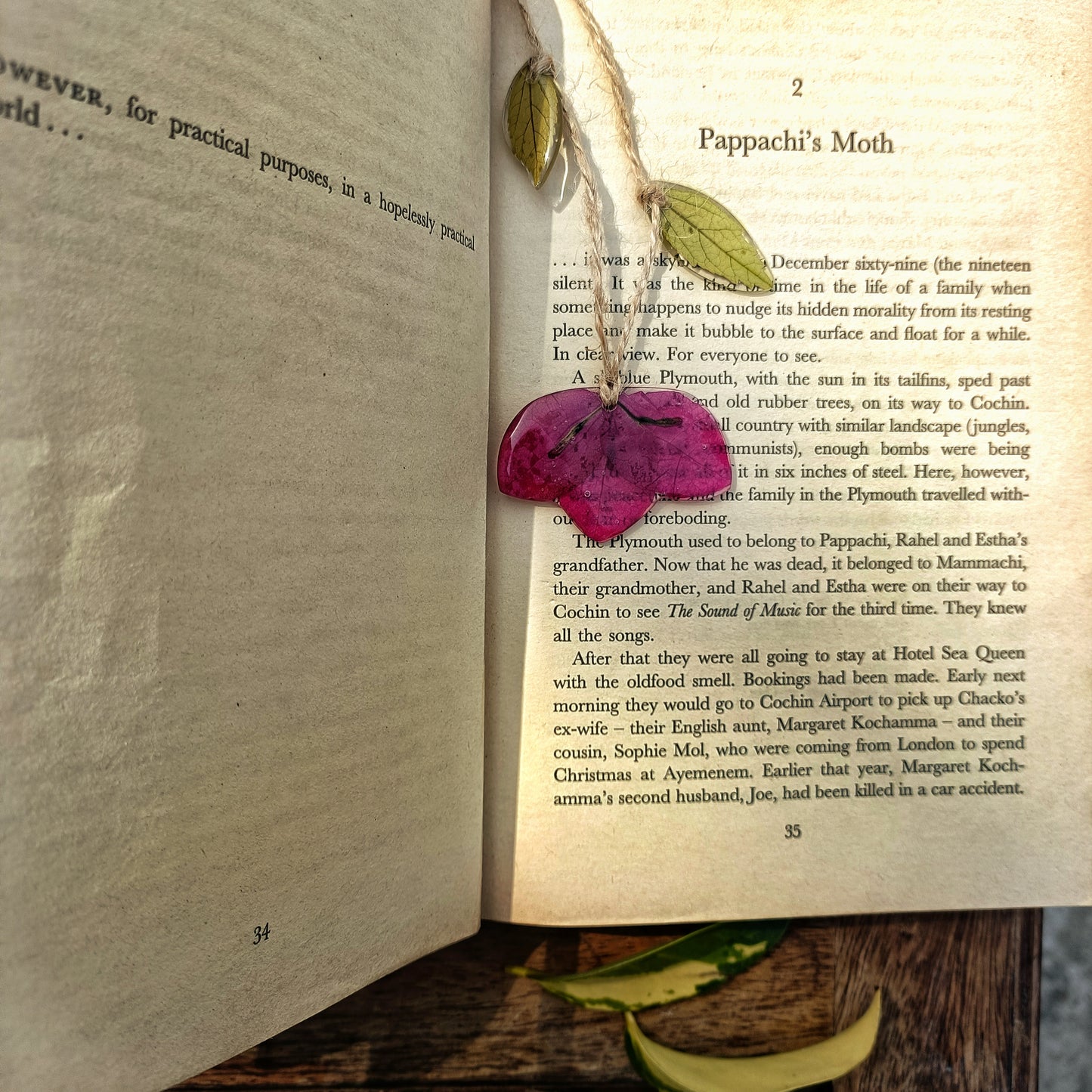 Books & Bougainville - Symbolic of Passion, Peace & Resilience
