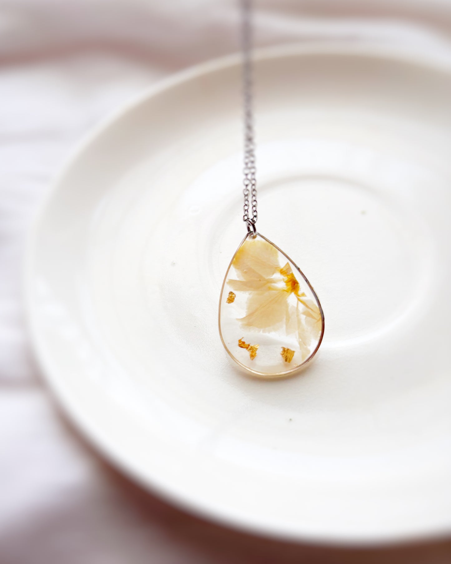 LARKSPUR DREAM : Symbolic of Dedication, Positivity, and Sincerity