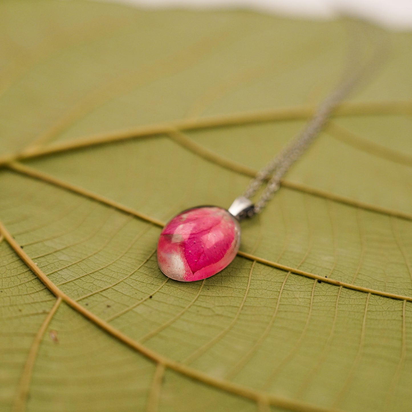 RENE -Symbolic of Passion, Peace & Resilience.