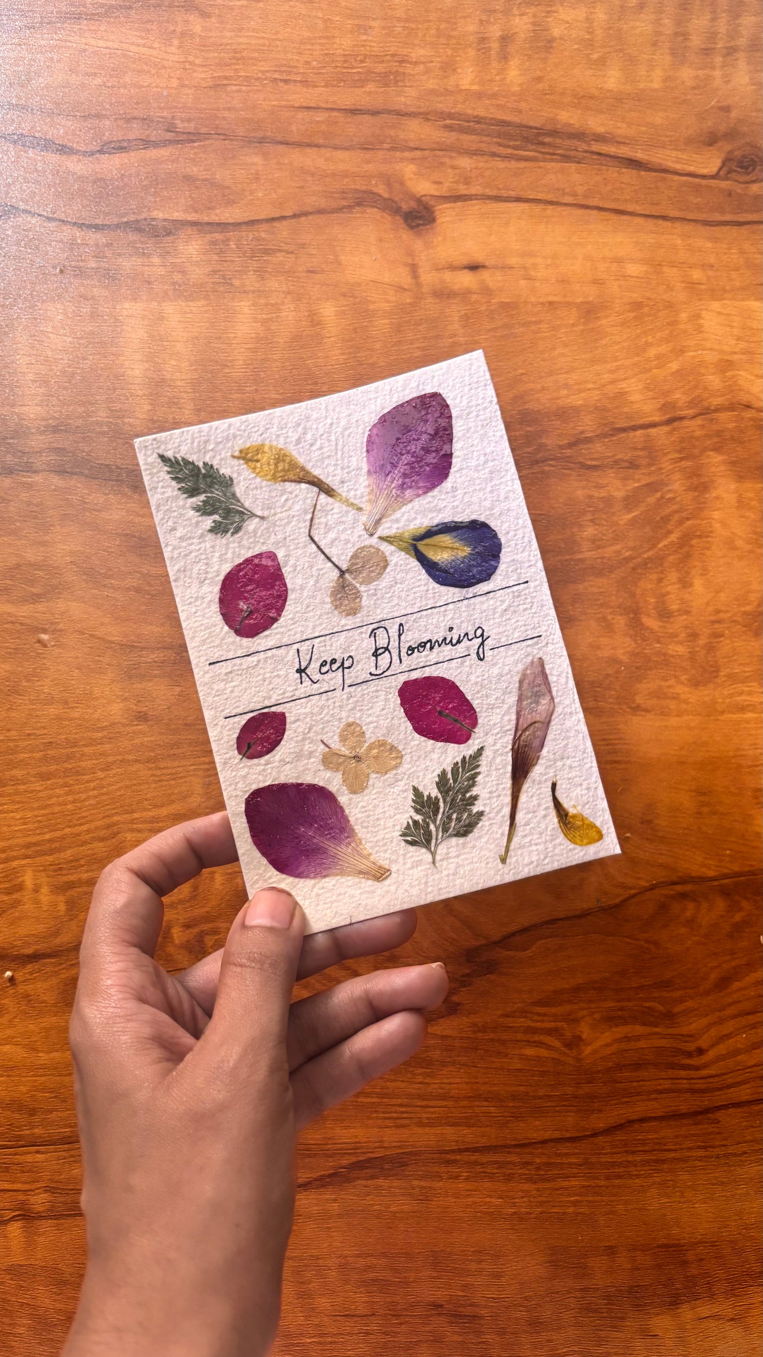 Greeting Cards