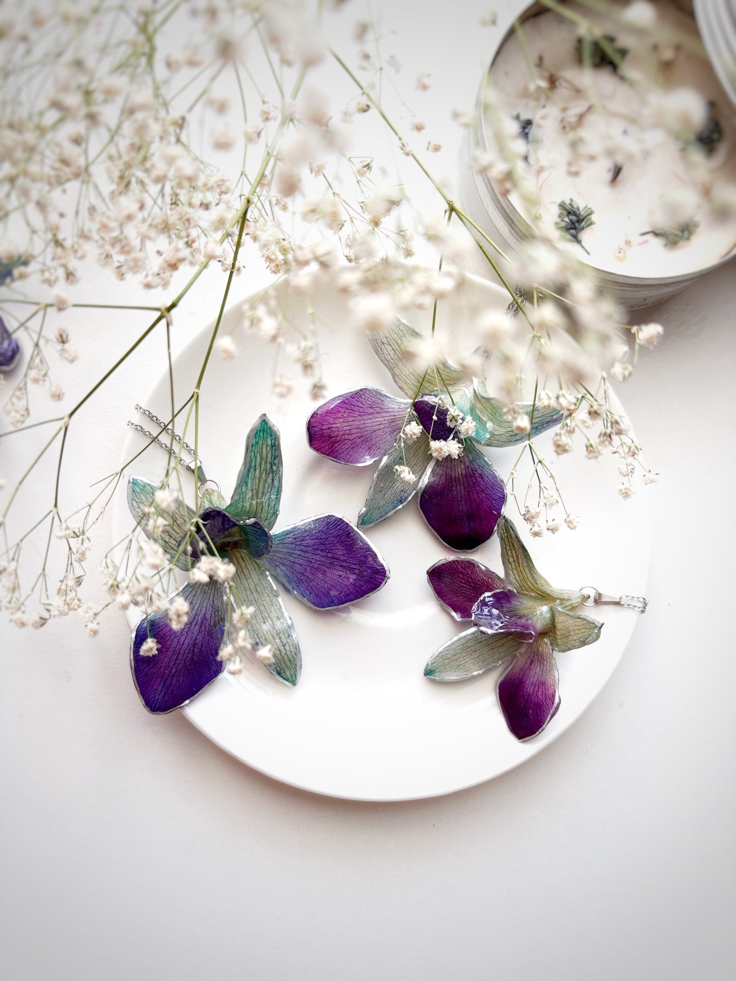 The Orchid Whispers