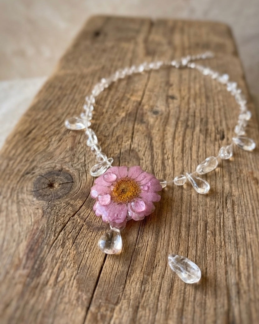 Daisy In Dew