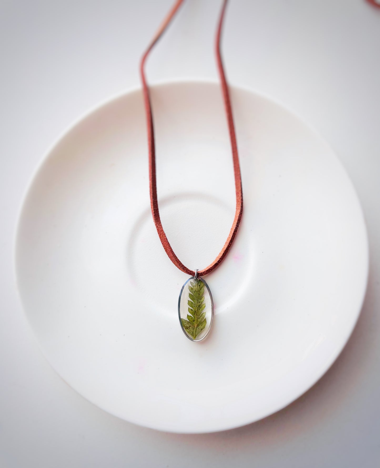 The Fern Collection