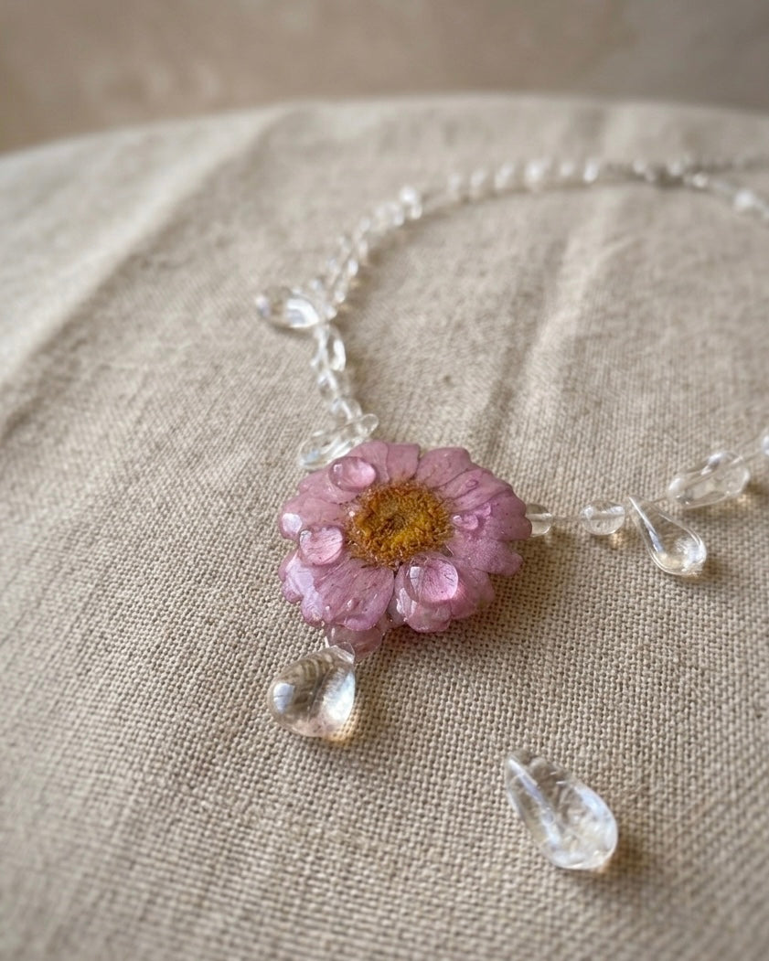 Daisy In Dew