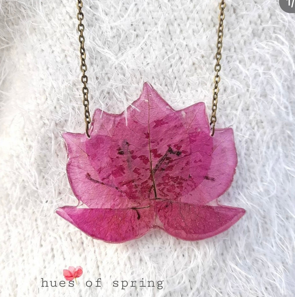 Exclusive Bougainvillea Collection