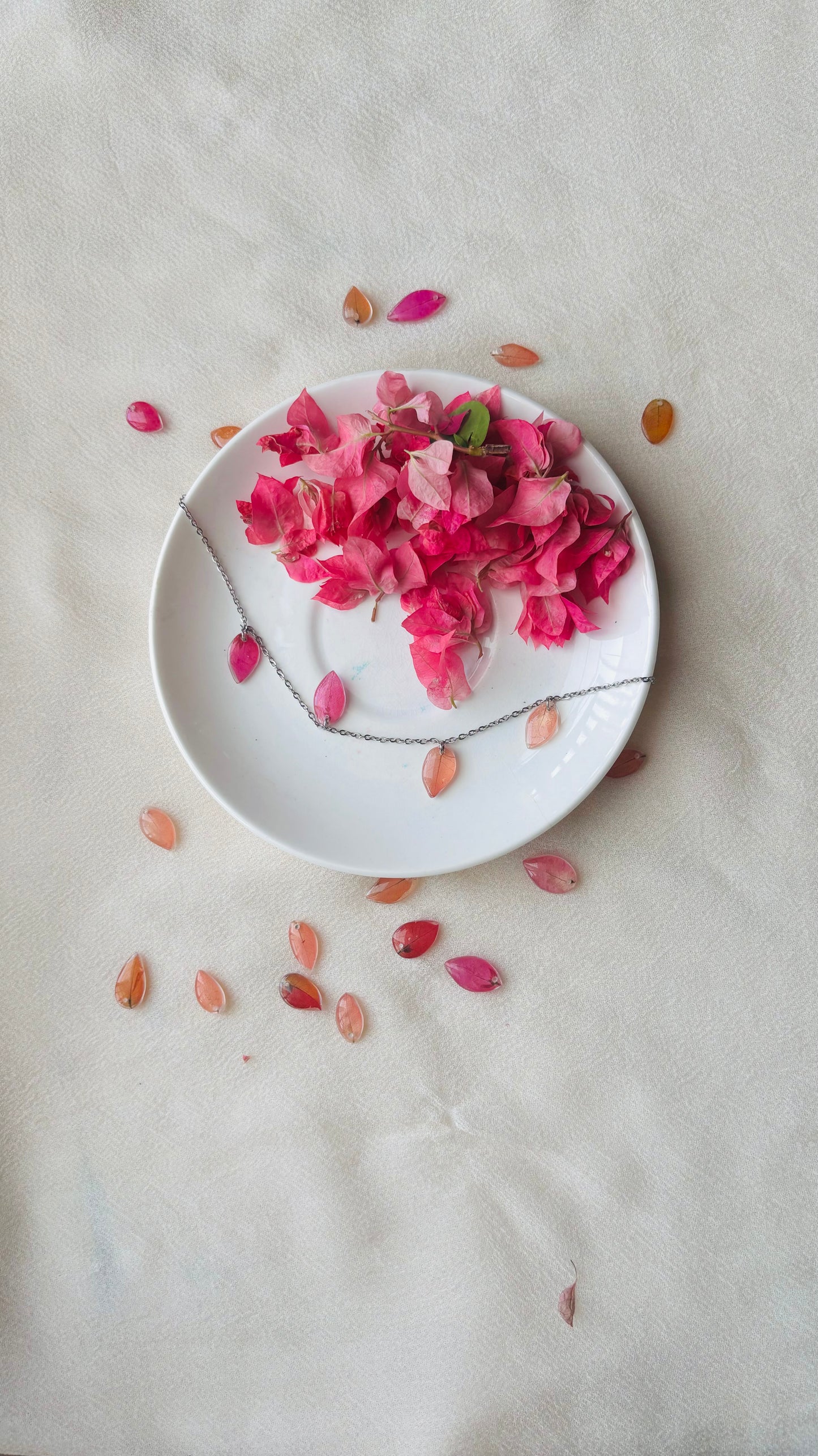 Soft Girl Bougainvillea