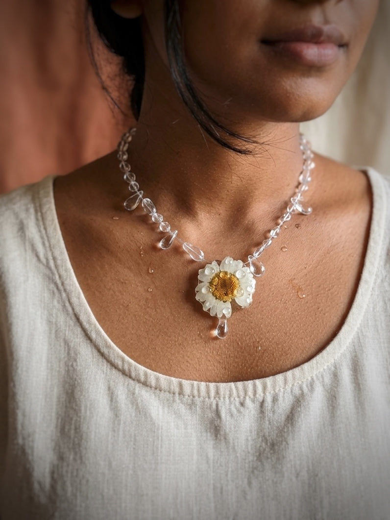 Daisy In Dew