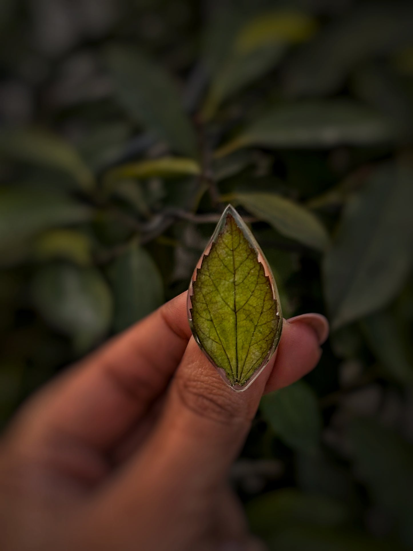 Kaya ring