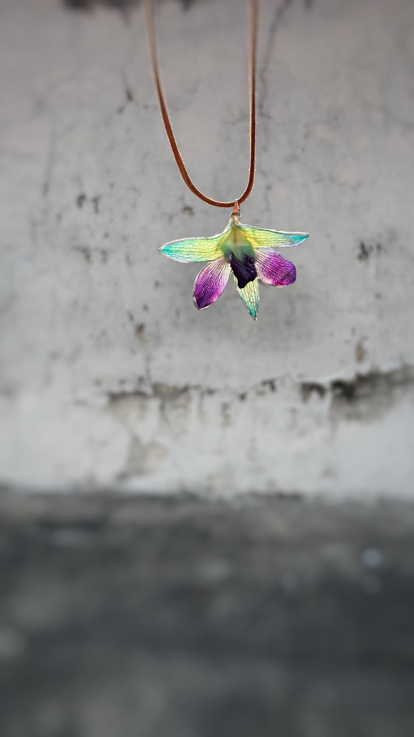 The Orchid Whispers