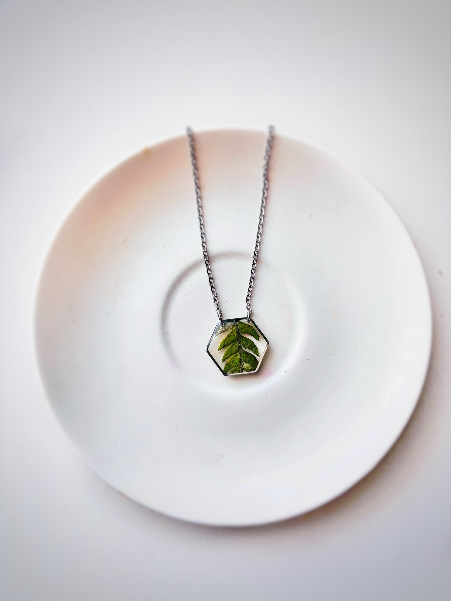 The Fern Collection