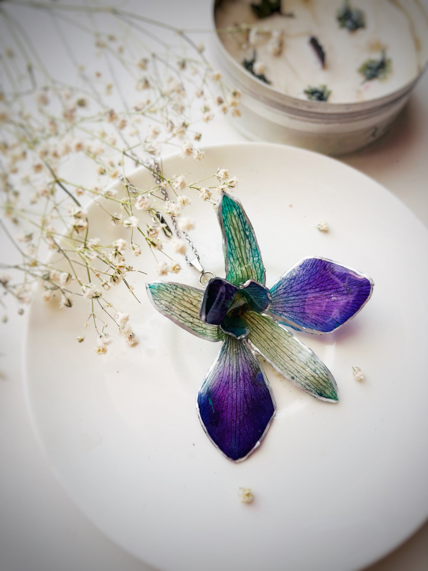 The Orchid Whispers