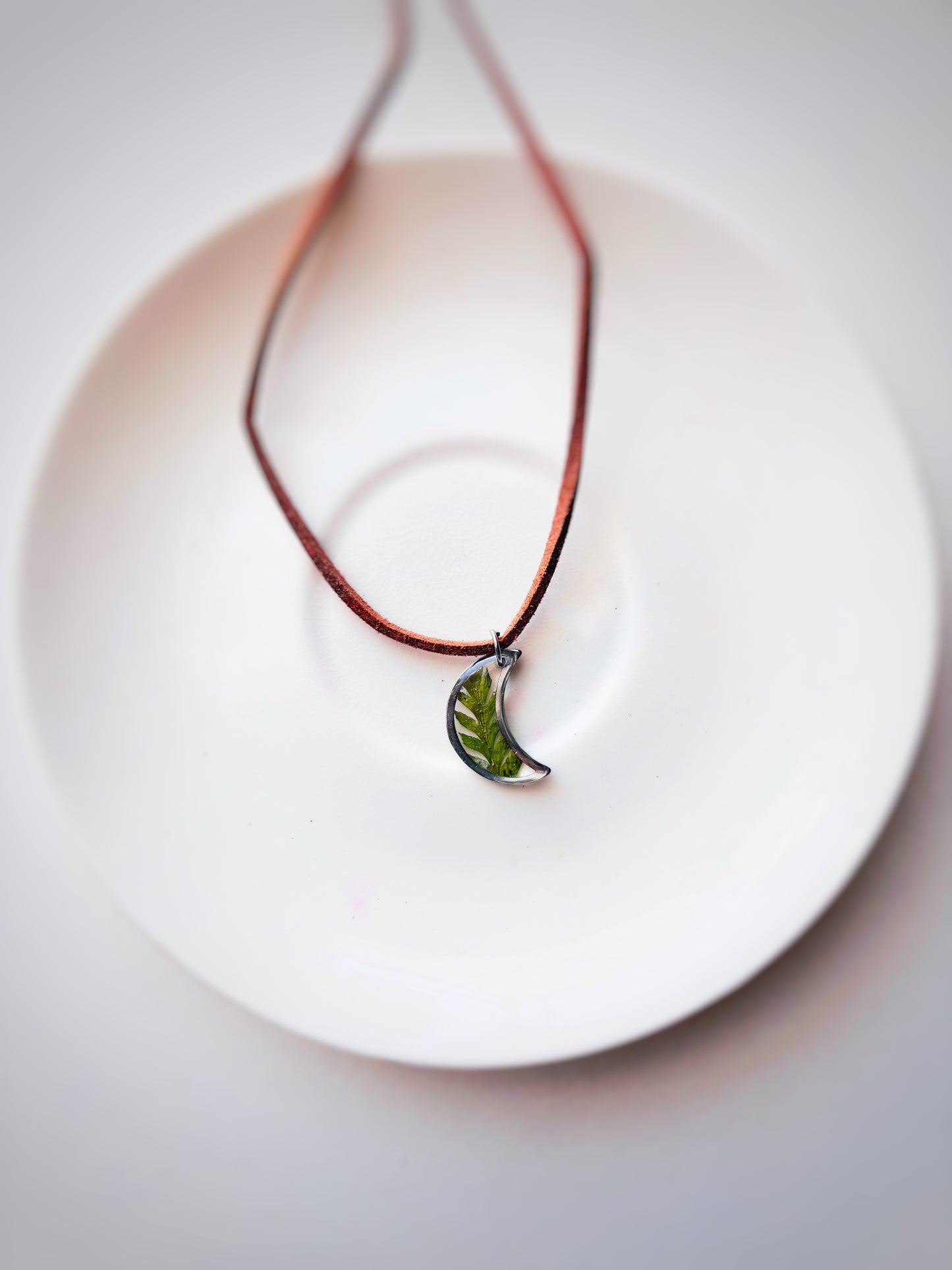 The Fern Collection