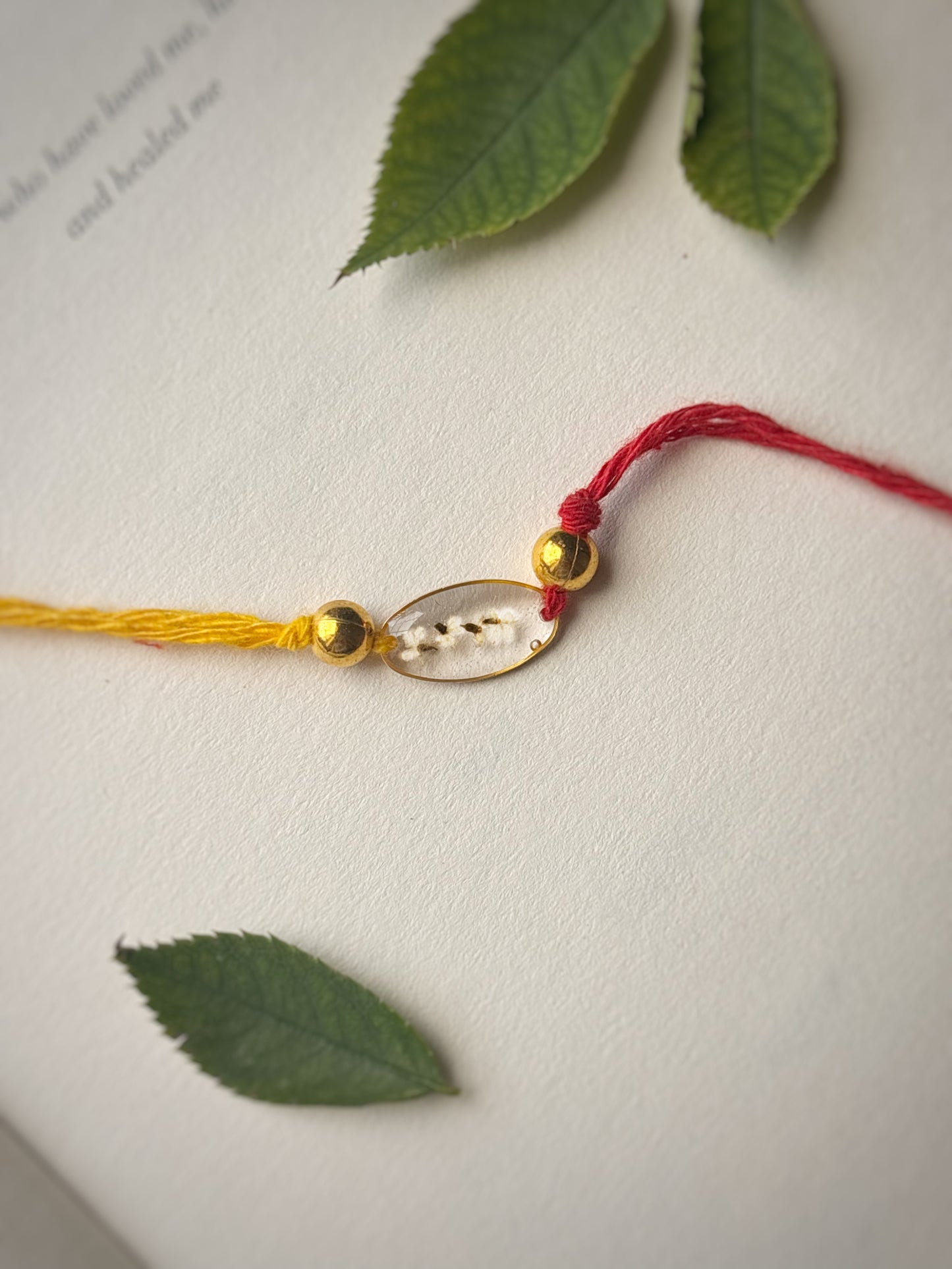 Rakhi- All in one
