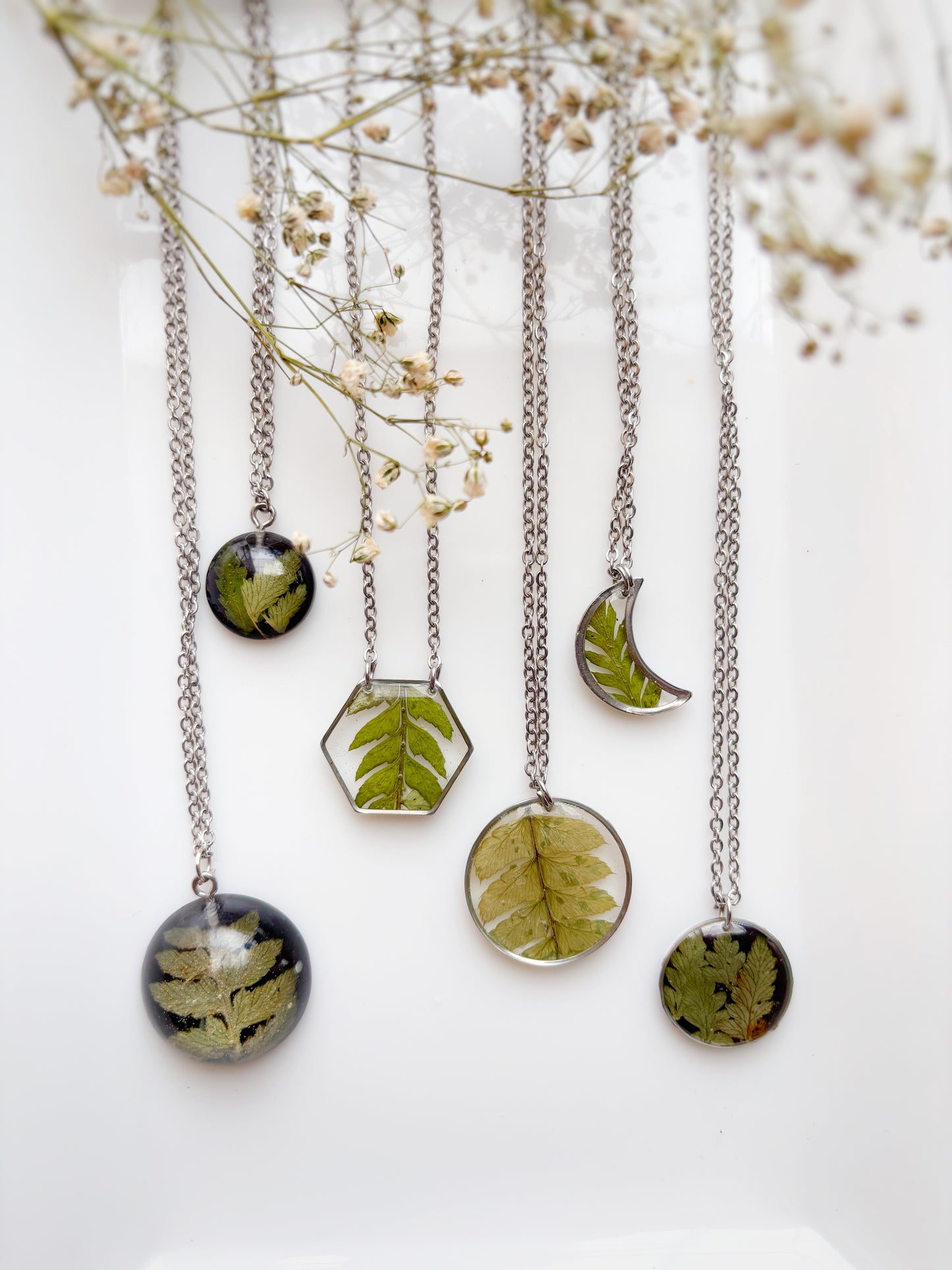 The Fern Collection