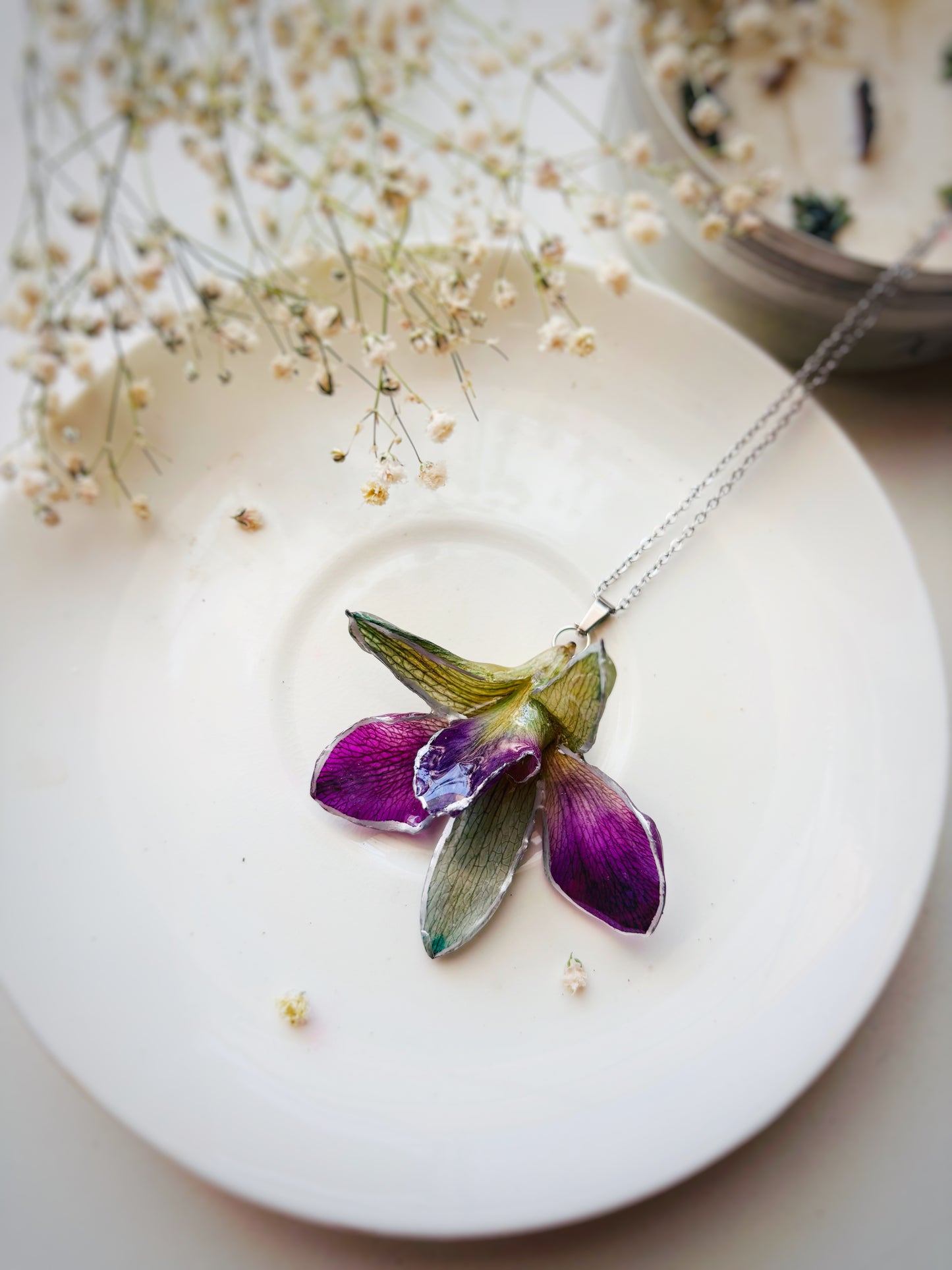 The Orchid Whispers