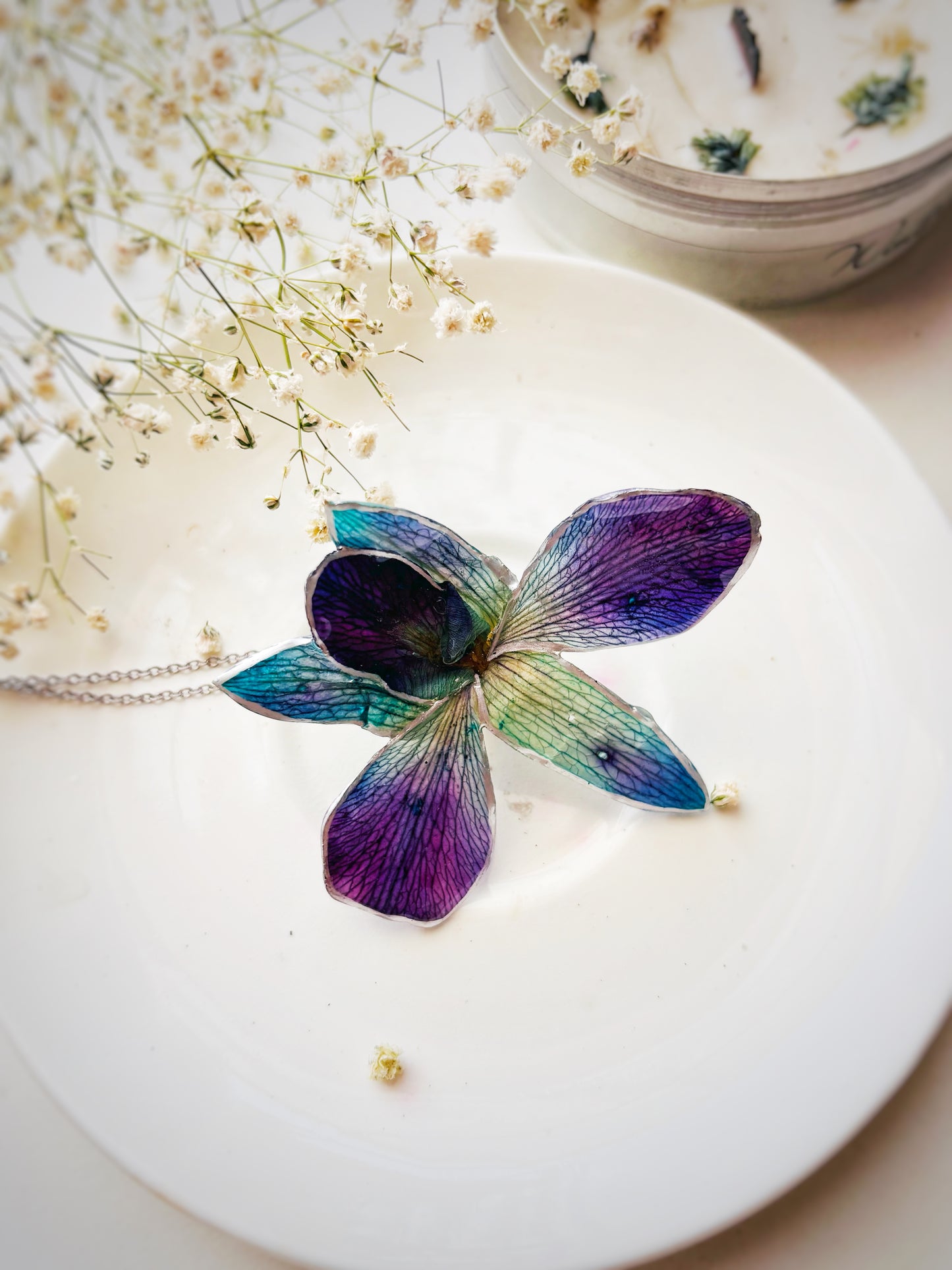 The Orchid Whispers