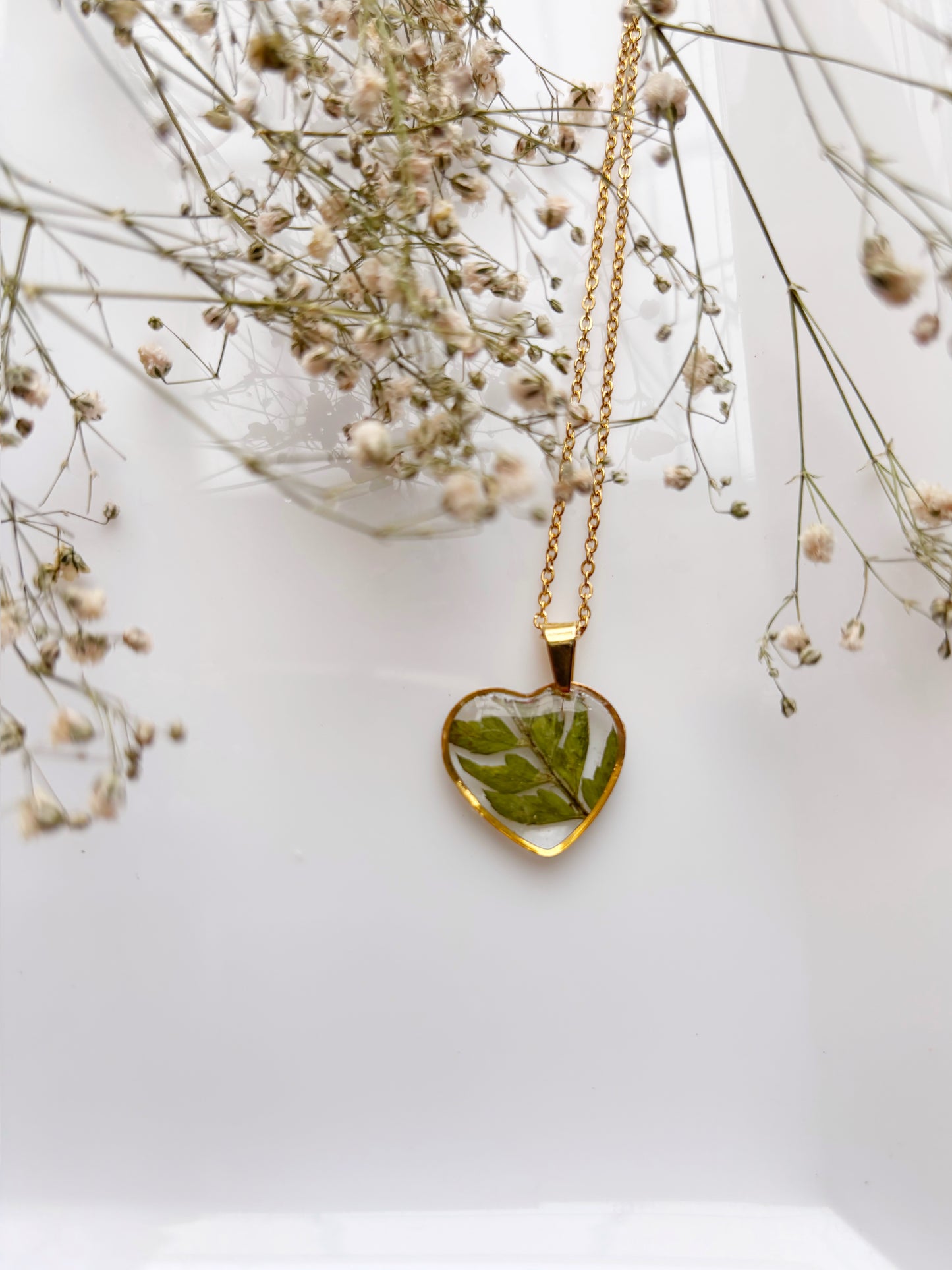 The Fern Collection