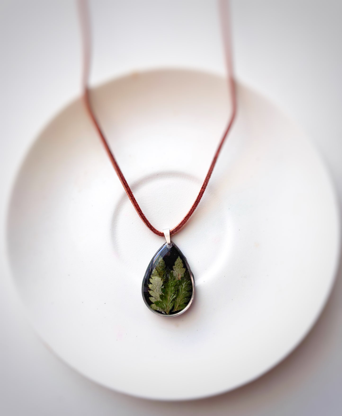 The Fern Collection