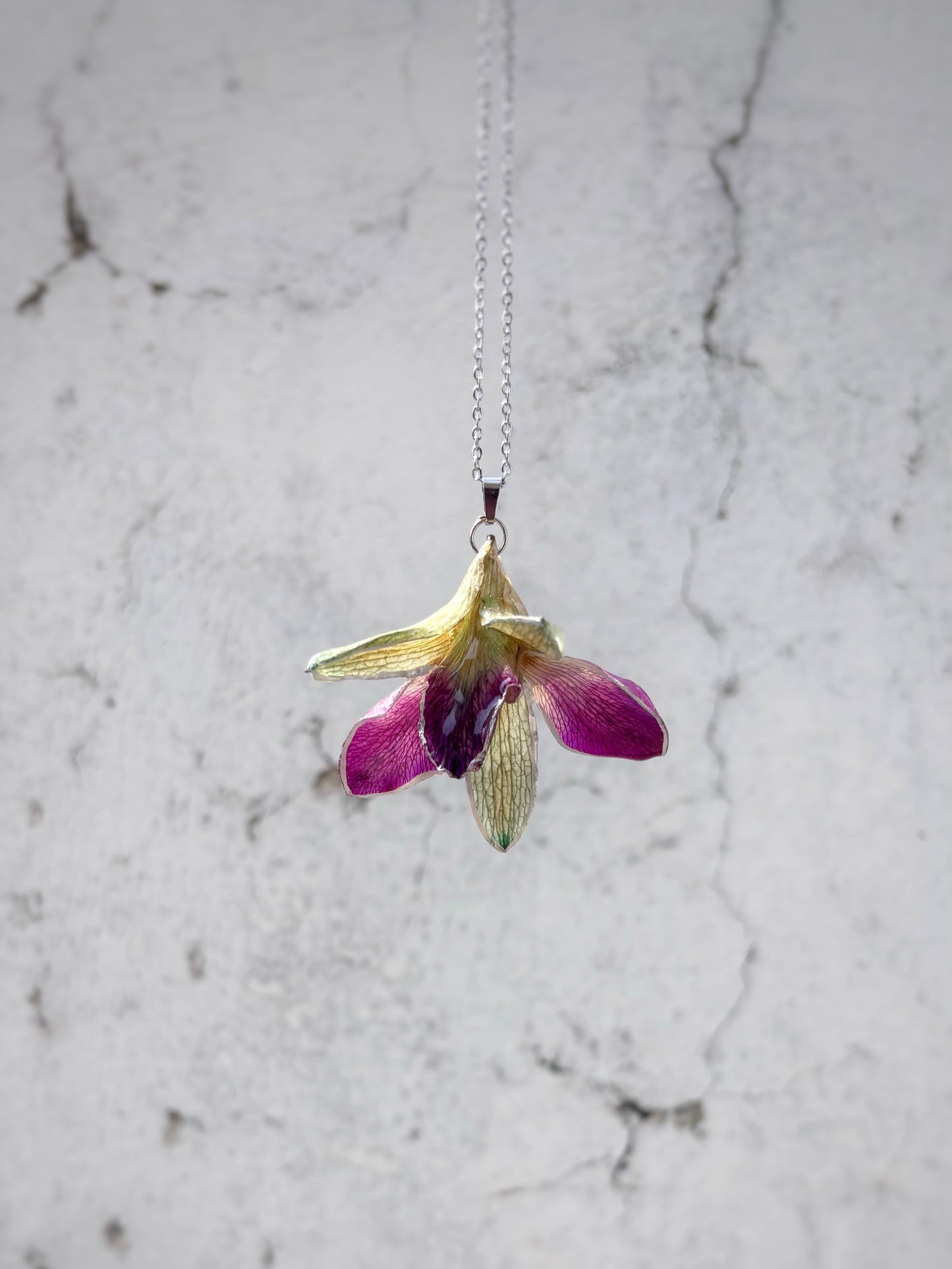 The Orchid Whispers
