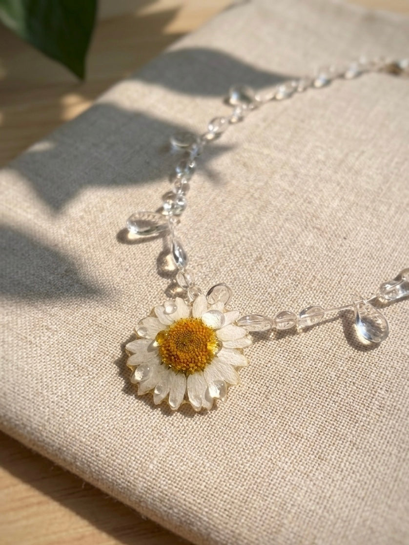 Daisy In Dew