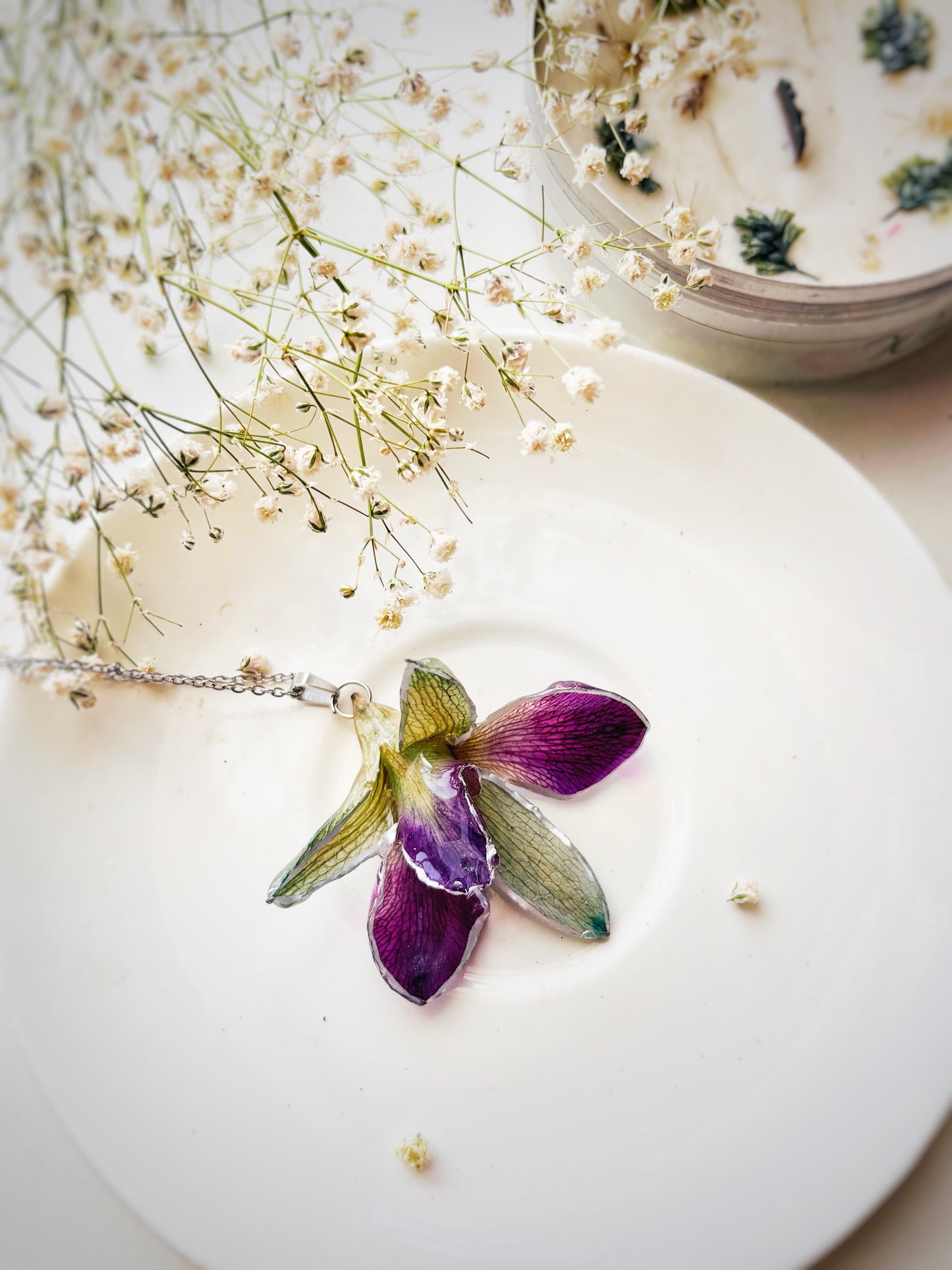 The Orchid Whispers