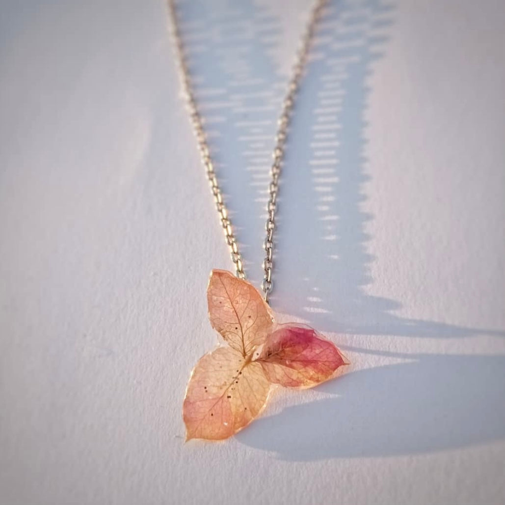 Exclusive Bougainvillea Collection