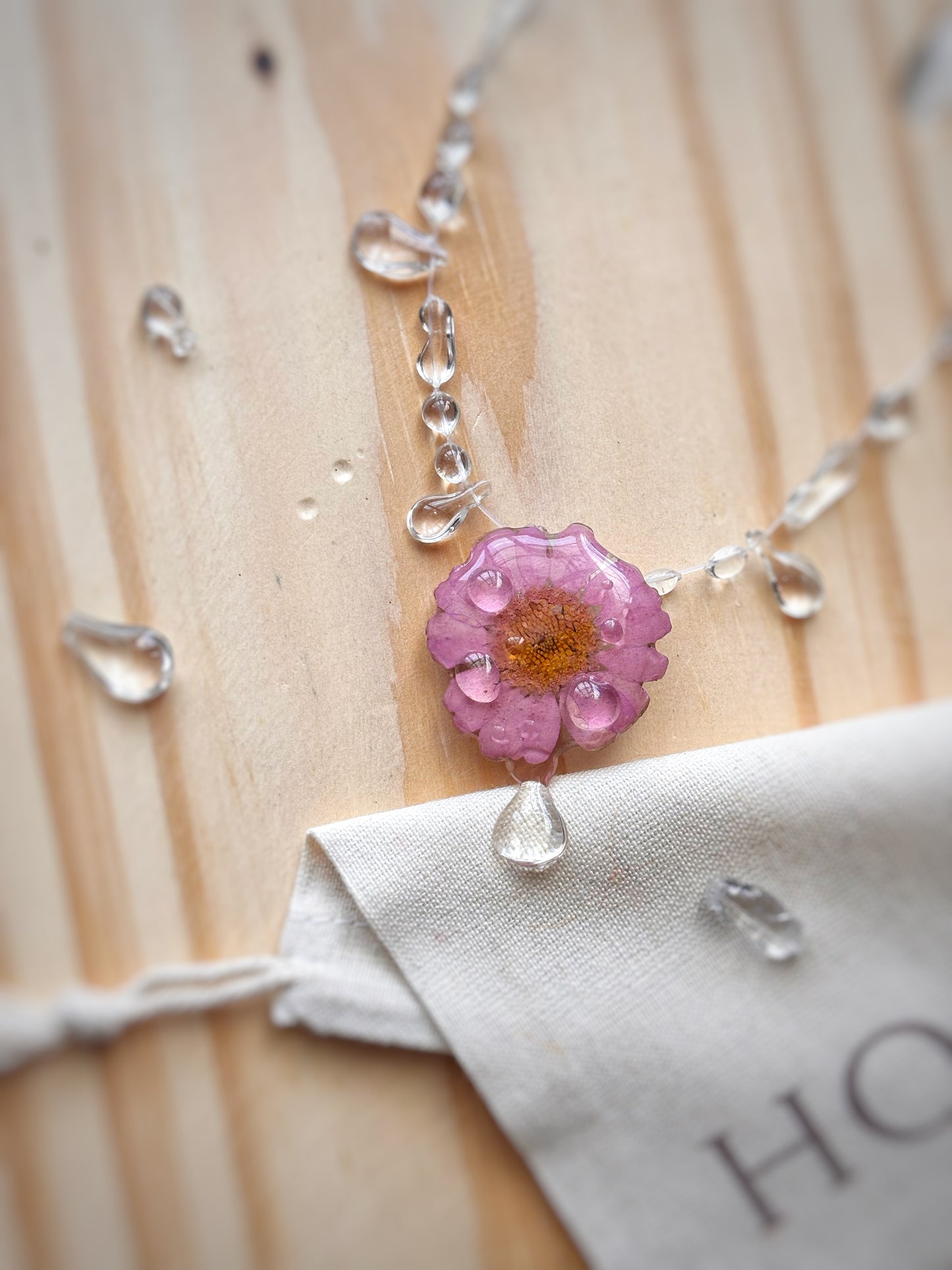 Daisy In Dew
