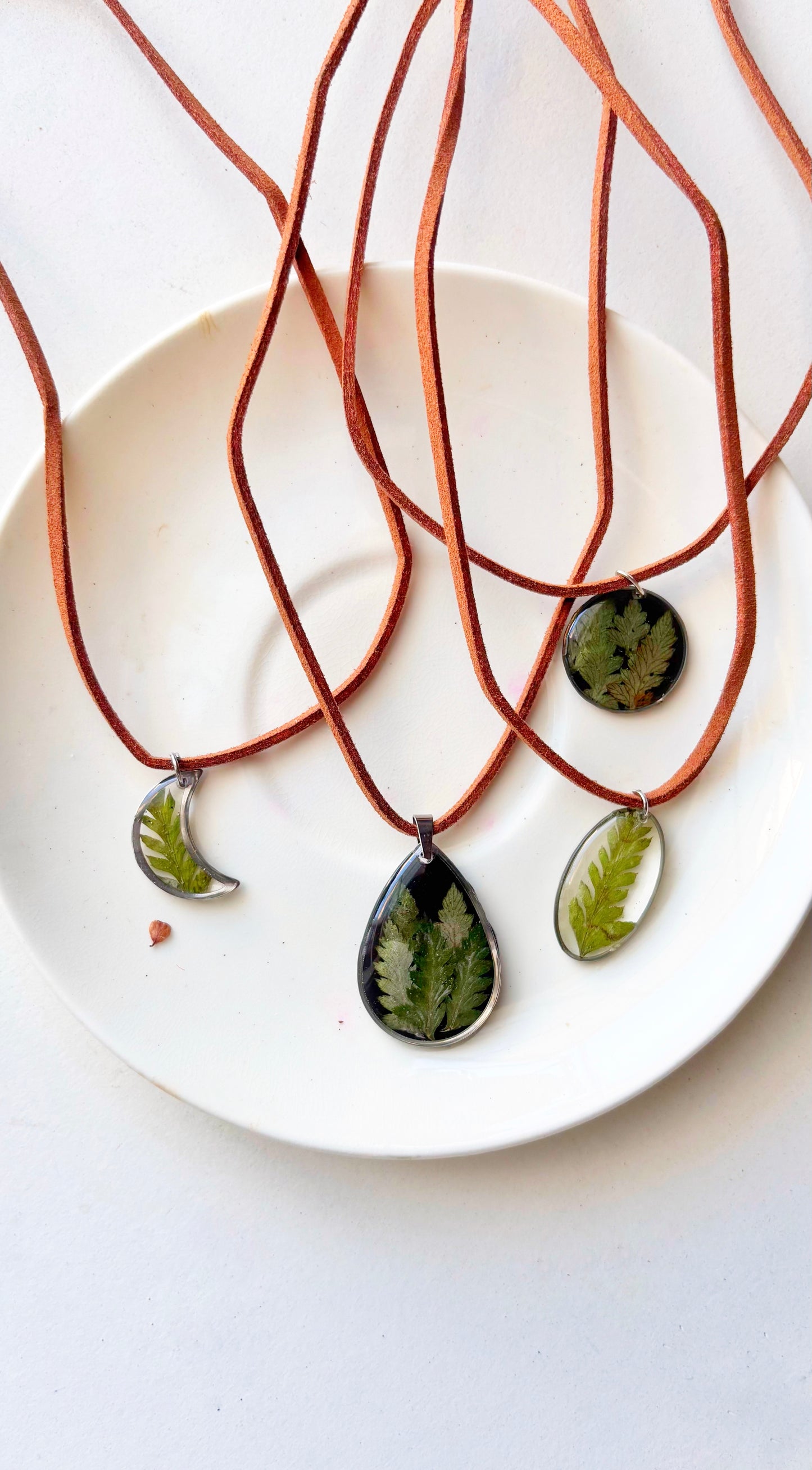 The Fern Collection