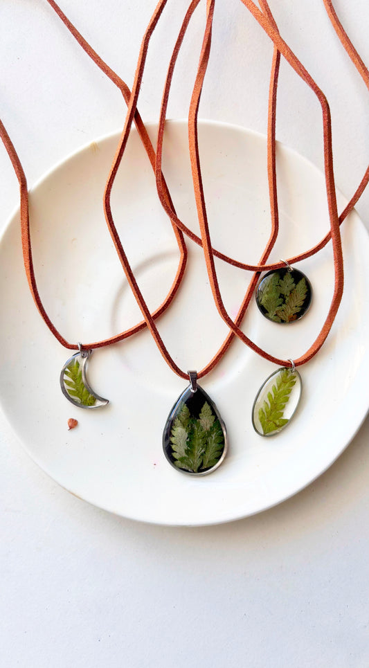 The Fern Collection