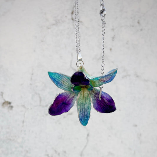 The Orchid Whispers